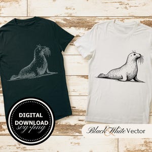 Seal SVG Bundle, Cute Seal PNG ,Seal Clipart, Hand drawn Seal pictures for print and engraving