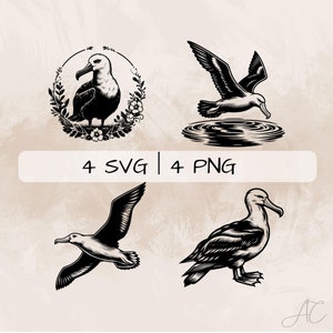 Albatross SVG Bundle, Flying Albatross PNG , Floral Albatross Clipart, Hand drawn albatross pictures for print and engraving