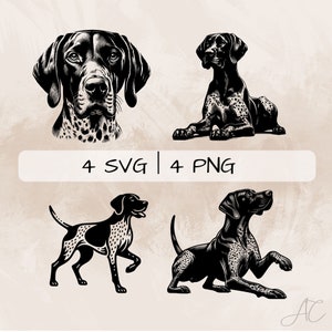 May include: Four black and white illustrations of a German Shorthaired Pointer dog in different poses. The dog is shown in a head shot, lying down, standing, and with its paw raised. The illustrations are in a vintage style.