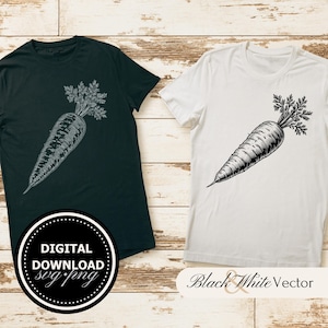 Carrot SVG Bundle, Vegetable PNG, Food Clipart, Hand drawn Carrot pictures for print and engraving