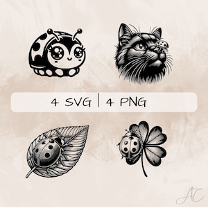 Nyckelpiga SVG-bunt, nyckelpiga på blad PNG, nyckelpiga på klöver Clipart, handritade nyckelpigabilder för utskrift och gravyr