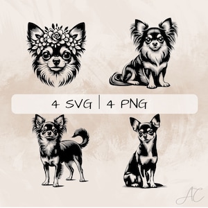 Chihuahua SVG bundle, Chihuahua and flowers PNG, Chihuahua Dog Clipart , Hand drawn Chihuahua pictures for print and engraving