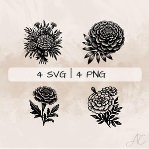 Marigold SVG Bundle, Marigold Bouquet PNG ,Marigold Flower Clipart, Hand drawn Marigold pictures for print and engraving