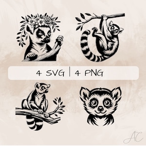 Lemur SVG bundle, Lemur with Flowers PNG, Lemur on Tree Clipart, Hand drawn Lemur pictures for print and engraving