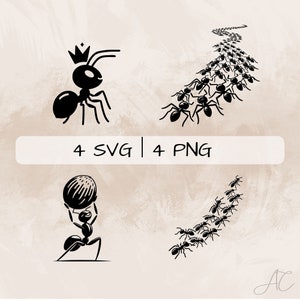 Ant SVG bundle, Ants Trail PNG, Ant with Crown Clipart, Hand drawn Ants pictures for print and engraving