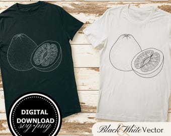 Pacote SVG de Pomelo, PNG de Frutas, Clipart de Comida, Imagens de Pomelo desenhadas à mão para impressão e gravação