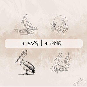 Delicate Pelican SVG Bundle, Pelican Line Art PNG, Pelican and Flowers Clipart, Hand drawn Floral Pelican pictures for print and engraving