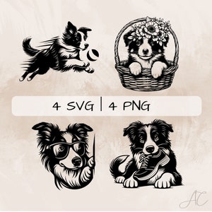 Border Collie SVG bundle, Cute Border Collie PNG, Peeking Border Collie Clipart , Hand drawn Border Collie pictures for print and engraving