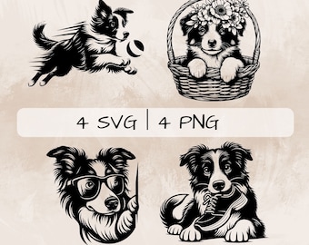 Border Collie SVG bundle, Cute Border Collie PNG, Peeking Border Collie Clipart , Hand drawn Border Collie pictures for print and engraving