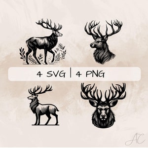 Stag SVG Bundle, Deer PNG, Floral Stag Clipart, Hand drawn Stag pictures for print and engraving