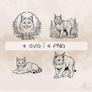 Paquete de SVG de gato montés, PNG de gato salvaje, clipart de gato montés, imágenes de gato montés dibujadas a mano para imprimir y grabar
