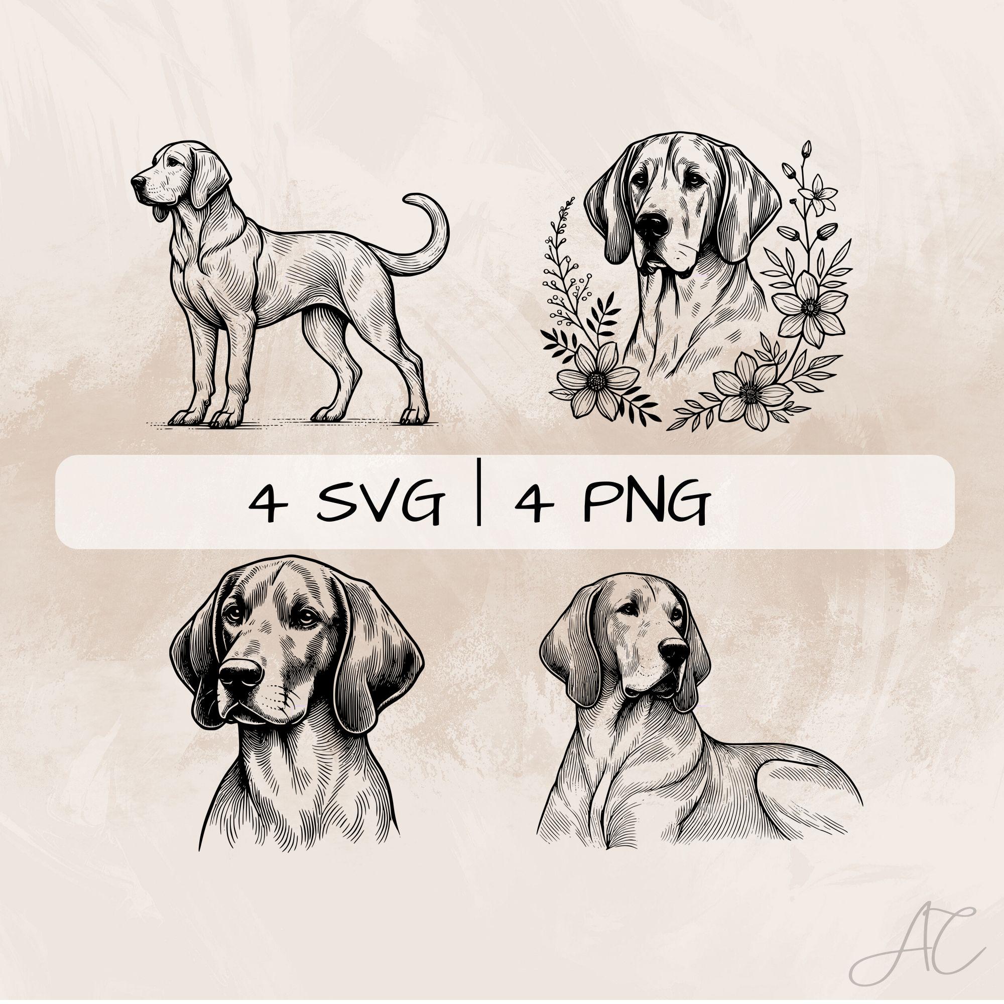 Bavarian Mountain Hound SVG Bundle, Bavarian Dog PNG, Bavarian