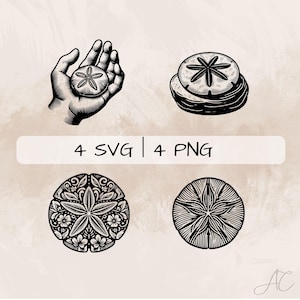 Sand Dollar SVG Bundle, Floral Sand Dollar PNG ,Sand Dollar Clipart, Hand drawn Sand Dollar pictures for print and engraving