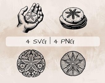 Paquete SVG de dólar de arena, PNG de dólar de arena floral, imágenes prediseñadas de dólar de arena, imágenes de dólar de arena dibujadas a mano para imprimir y grabar