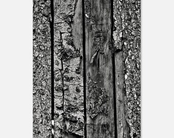 Textured nature, Trontano, 2025 DS
