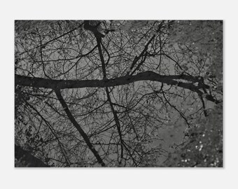 Reflection in puddle, Varese, 2023