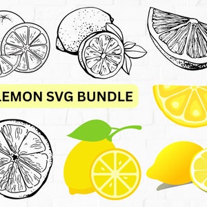 Lemon SVG Files For Cricut, Fruit PNG , Silhouette, Lemon Layered Slice Svg, Summer Clipart, Lemon Clip Art, Lemon Branch