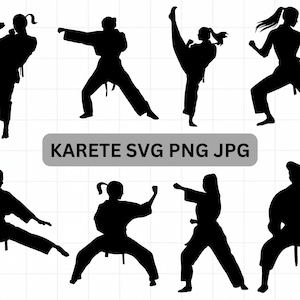 Karate svg, Taekwondo svg, artes marciales svg, silueta de chica karate png, paquete Karate svg, archivos Cricut, archivos Silhouette, imágenes prediseñadas de karate