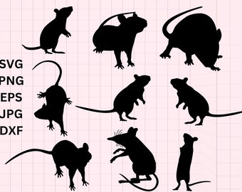 Rat SVG Bundle, Rat PNG Bundle, Rat Clipart, Rat Cut Files for Cricut ...
