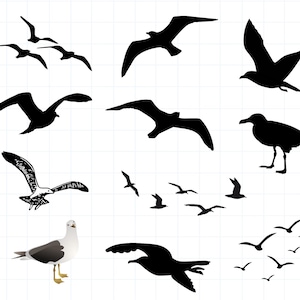 Gaviota (SVG, JPG, PNG), uso comercial, archivos de corte digital, archivos para Cricut, pájaro en vuelo, gaviota (SVG), descarga instantánea, pájaro (SVG)