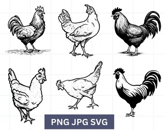 Chicken Svg, Rooster Svg, Chicken Bundle SVG, rooster clipart, Farmhouse SVG, male rooster, Farm Animal SVG, Chicken svg bundle hand drawn