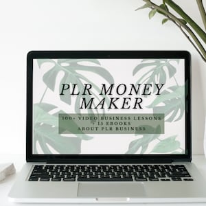 PLR MONEY MAKER course | master resell rights | plr, mrr | 100+ videos  | 15+ ebooks about plr