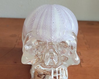 Resin Skull with Purple Sea Urchin Shell and Crushed Iridescent Shells