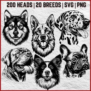 Könnte beinhalten: Schwarzweiß-Illustrationen von 20 verschiedenen Hunderassen. Jede Illustration zeigt den Kopf und die Schultern des Hundes. Die Illustrationen sind in einem einfachen, stilisierten Stil gehalten.