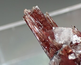 Uvite * Red Gem crystals with colorless Magnesite from Brumado, Brazil