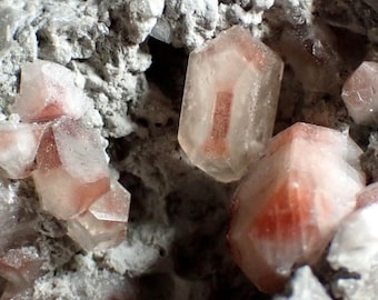 Celestine * Very nice crystals on matrix from Rüdersdorf, Germany