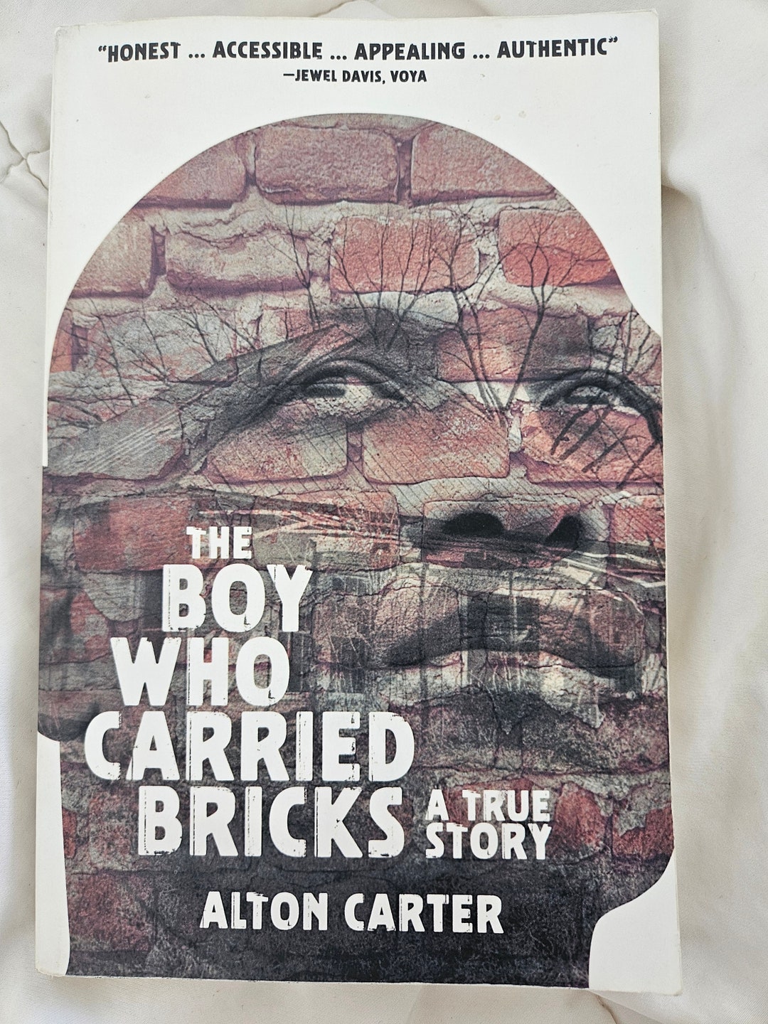 True Story the Boy Who Carried Bricks Book Etsy