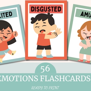 Emotion Flashcards | Feelings Flash Cards | Emotion Cards Toddler | Printable Emotion Cards For Kids | Montessori Materials | Emotions Chart