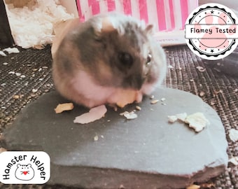 XL Stone or Slate for Hamster Nail Maintenance