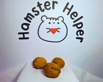 Whole Walnuts in Shell - Hamster Gnawing & Foraging Treat