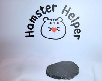 Hamster Nail Maintenance Slate: Natural Stone for Small Pets
