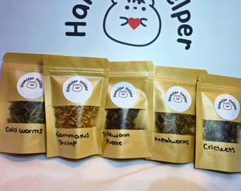 Bug Buffet – Hamster Insect Treat Sampler