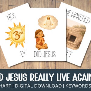 May include: Three white cards with illustrations and text. One card shows a sun with the number 3, another shows a person praying, and the last shows an empty tomb. The text reads "YES", "DID JESUS", and "HE WAKENED LEFT". Below, the text reads "DID JESUS REALLY LIVE AGAIN?"