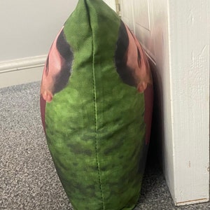May include: A green and red pillow with a printed image of two faces. The pillow is made of a soft, textured fabric.
