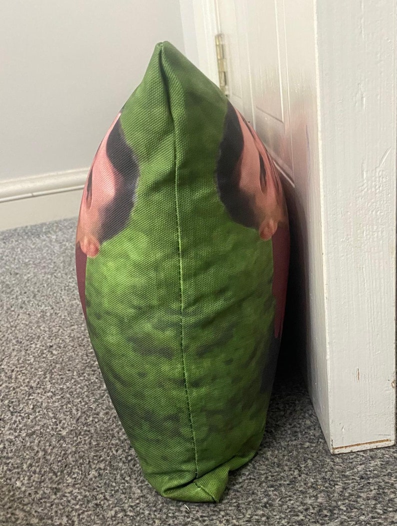 May include: A green and red pillow with a printed image of two faces. The pillow is made of a soft, textured fabric.