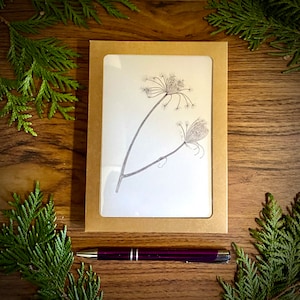 Elegante botanische illustratiekaart serie 2 - blanco, stationaire kaartenset - set van 5 - A6-formaat