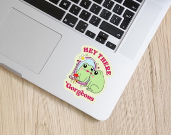 May include: A sticker featuring a cartoon frog looking in a mirror with the text "Hey There Gorgeous" in pink and white lettering.
