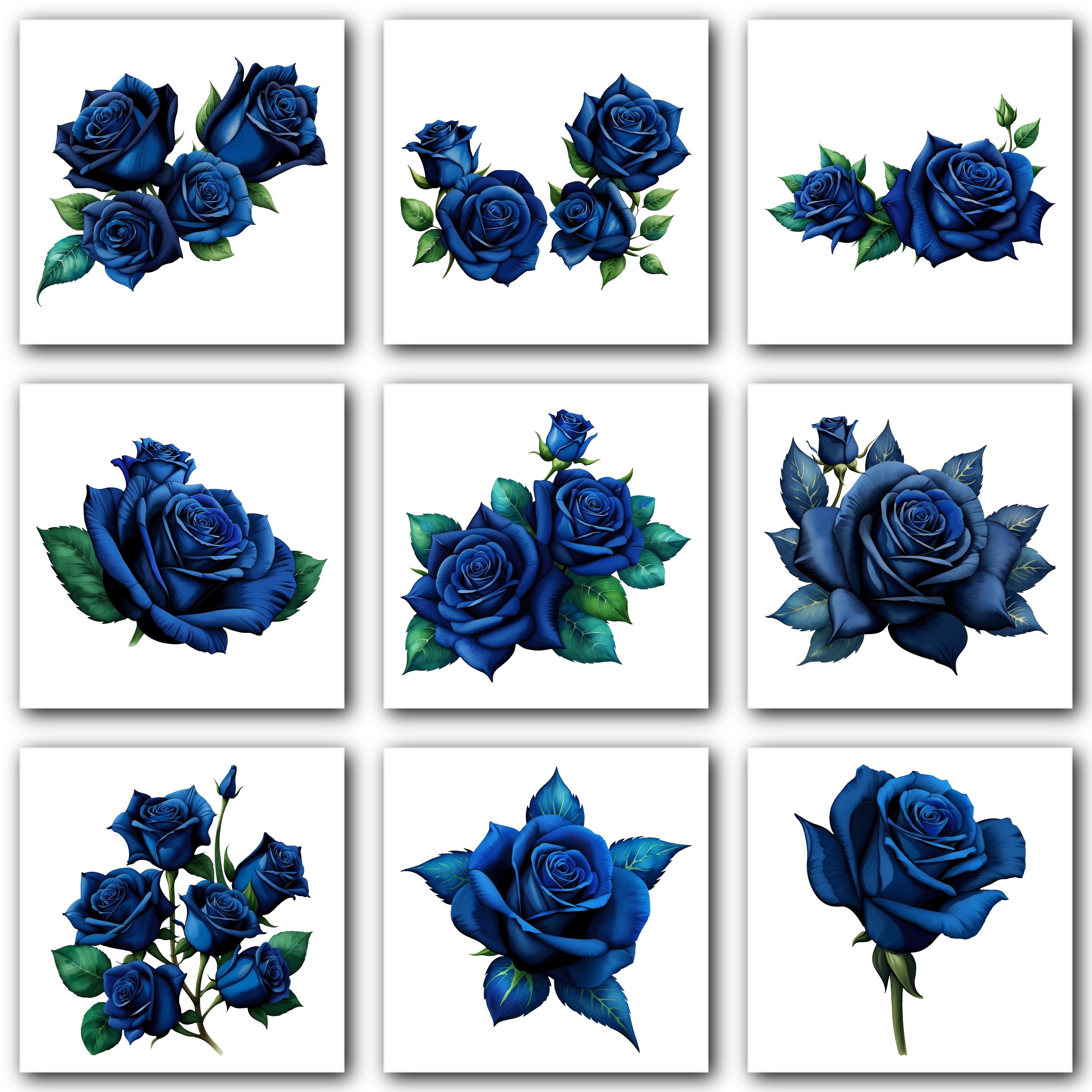 画材 BLUE ROSE il_fullxfull.5705496852_mien.jpg