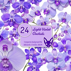 Light Violet Orchids in Watercolor | PNG with Transparent Background | Instant Download | Digital Clip Art | Set of 24 PNG Clip Art Files