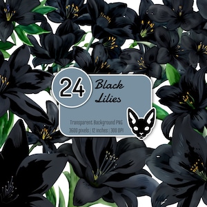 Lírio Preto em Aquarela | PNG com fundo transparente | Download instantâneo | Clip-art digital | Conjunto de 24 arquivos de clipart PNG