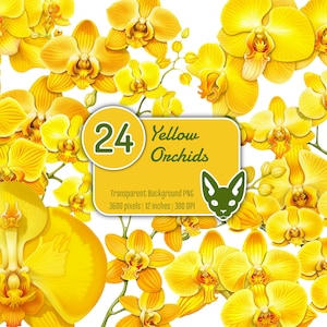 Orquídeas amarillas en acuarela / PNG con fondo transparente / Descarga instantánea / Clip Art digital / Conjunto de 24 archivos PNG Clip Art