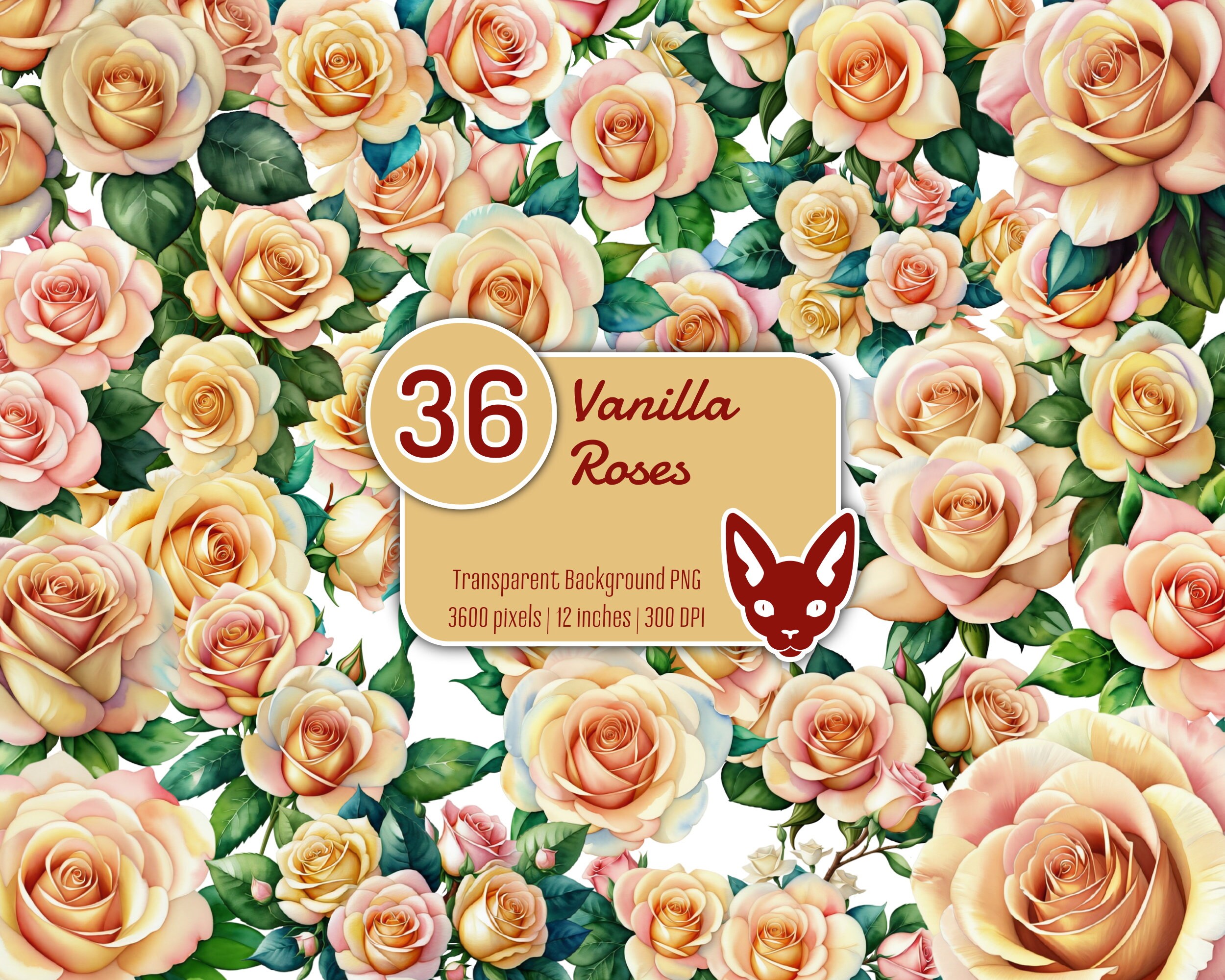 Vanilla Roses in Watercolor | PNG With Transparent Background | Instant ...