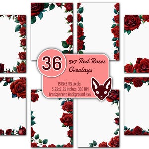 5x7" rote Rose Overlays Set | 36 PNGs | Transparenter Hintergrund | Sofort Download | Einladungen | Karten | Ränder | Ecken