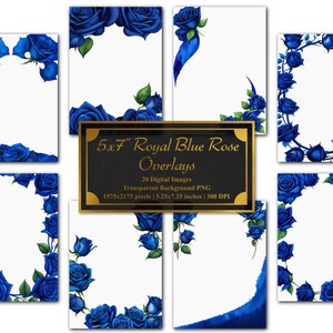 5x7" Royal Blue Rose Overlays Set | 20 PNGs | Transparent Background | Instant Download | Invitations | Cards | Borders | Corners | Frames