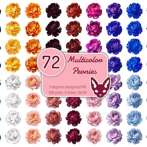 Mehrfarbige Pfingstrose im Aquarell | PNG mit transparentem Hintergrund | Sofortdownload | Digitale Clip Art | Set mit 72 PNGs | Clip Art Bundle