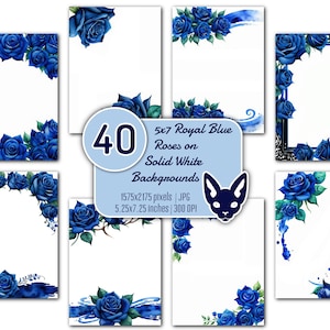 5 x 7" Royal Blue Rose-achtergronden | 40 JPG's | Effen witte achtergrond | Direct downloaden | Uitnodigingen | Kaarten | Randen | Hoeken | Frames